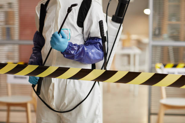Professional Sewage Cleanup technician working in Hawi, HI